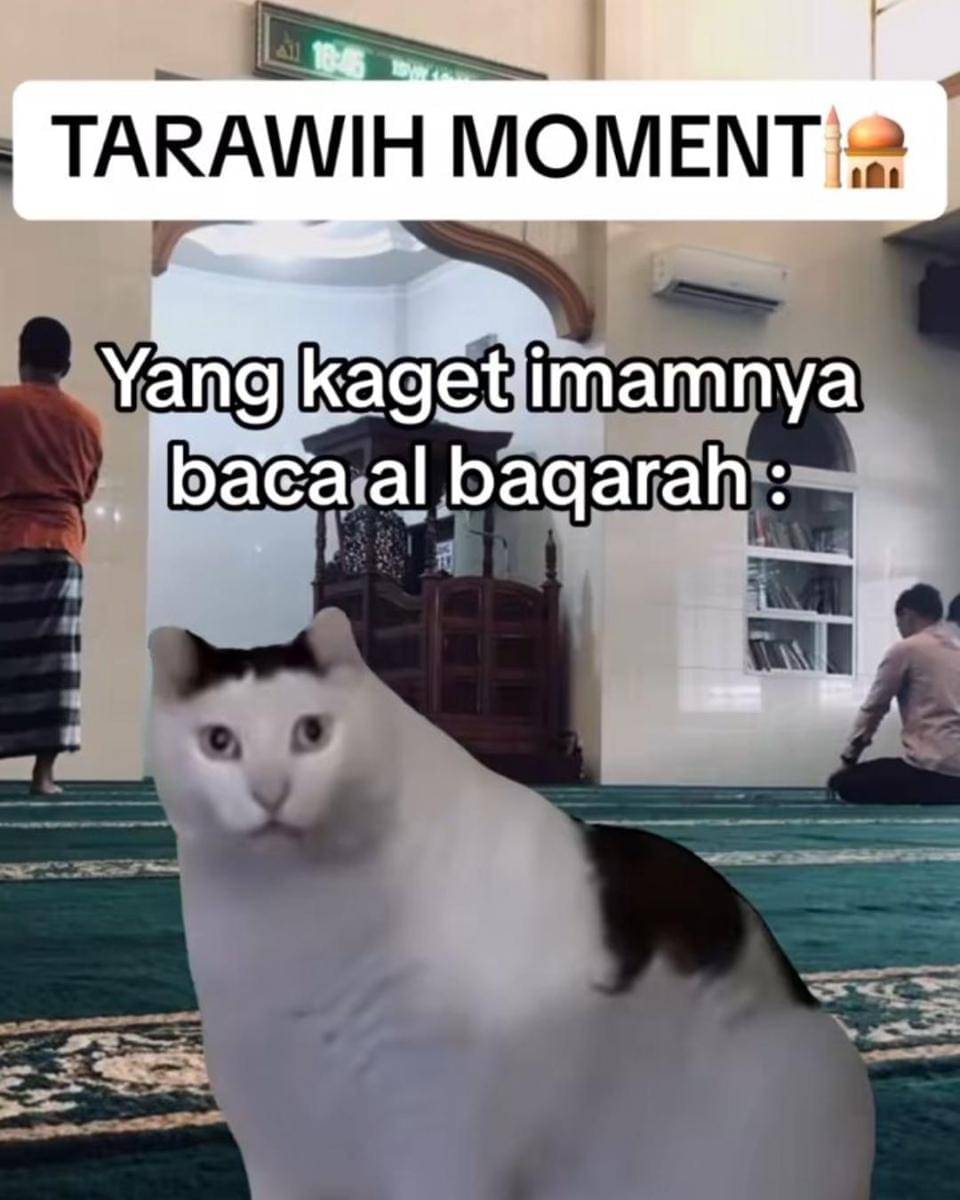 Instagram.com/memekucingofficial